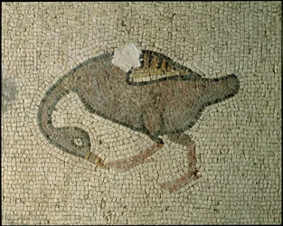 Floor of a Basilica